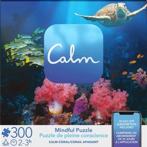 Spin Master Games Calm Coral Reef Mindful Puzzle CALM App Download Gift